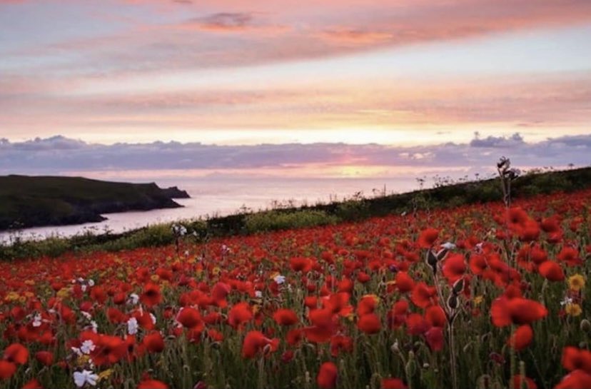 At the eleventh hour on the eleventh day of the eleventh month - we will remember them. 

#ArmisticeDay 
#RemembranceDay2020 
@ssafa <a href="/SSAFA/">SSAFA</a>Hampshire