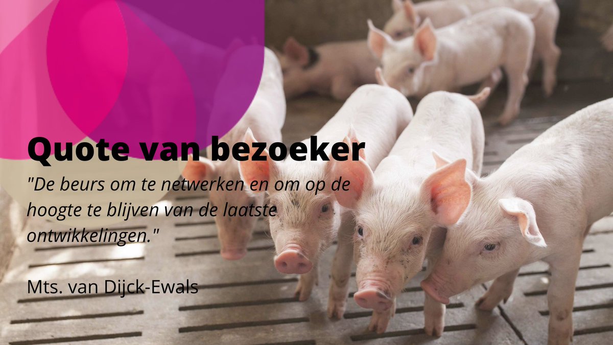 Dutch Pork Expo tweet media