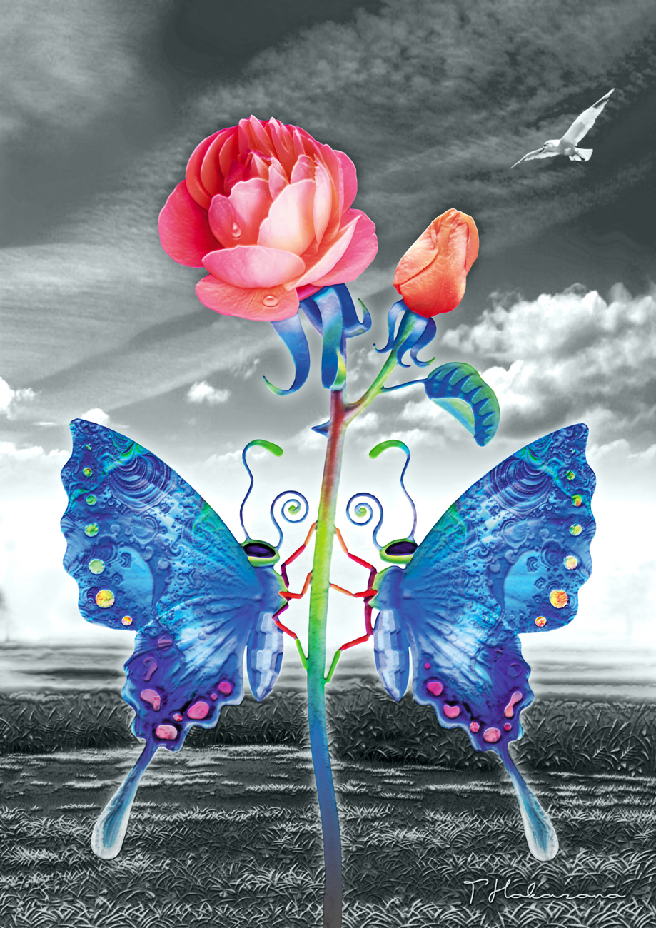 Twitter 上的 外園 勉 アートの職人 カラー作品を半分モノトーンに 薔薇 蝶 背景を青味かかったモノクロ画面してみました 蝶 モノトーン デジタルアート イラスト バラ T Co 3sa1nf3fid Twitter