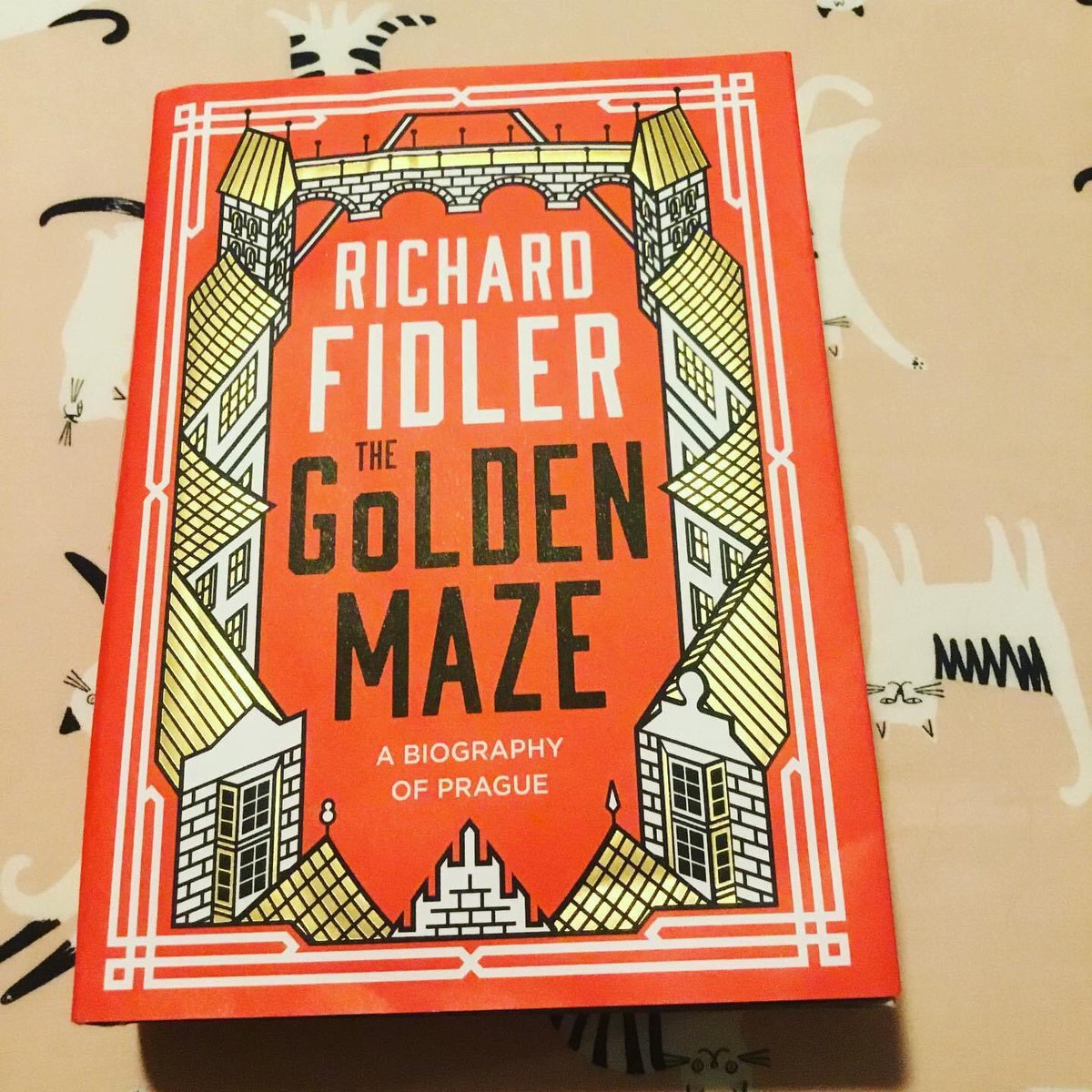 booknerd81's tweet photo. Just finished this beautiful book by Richard Fidler. The Golden Maze by Richard Fidler #books #bookworm #booknerd #thegoldenmaze #prague #richardfidler #brisbane #queensland #australia @rfidler https://t.co/uyatXQtwOl