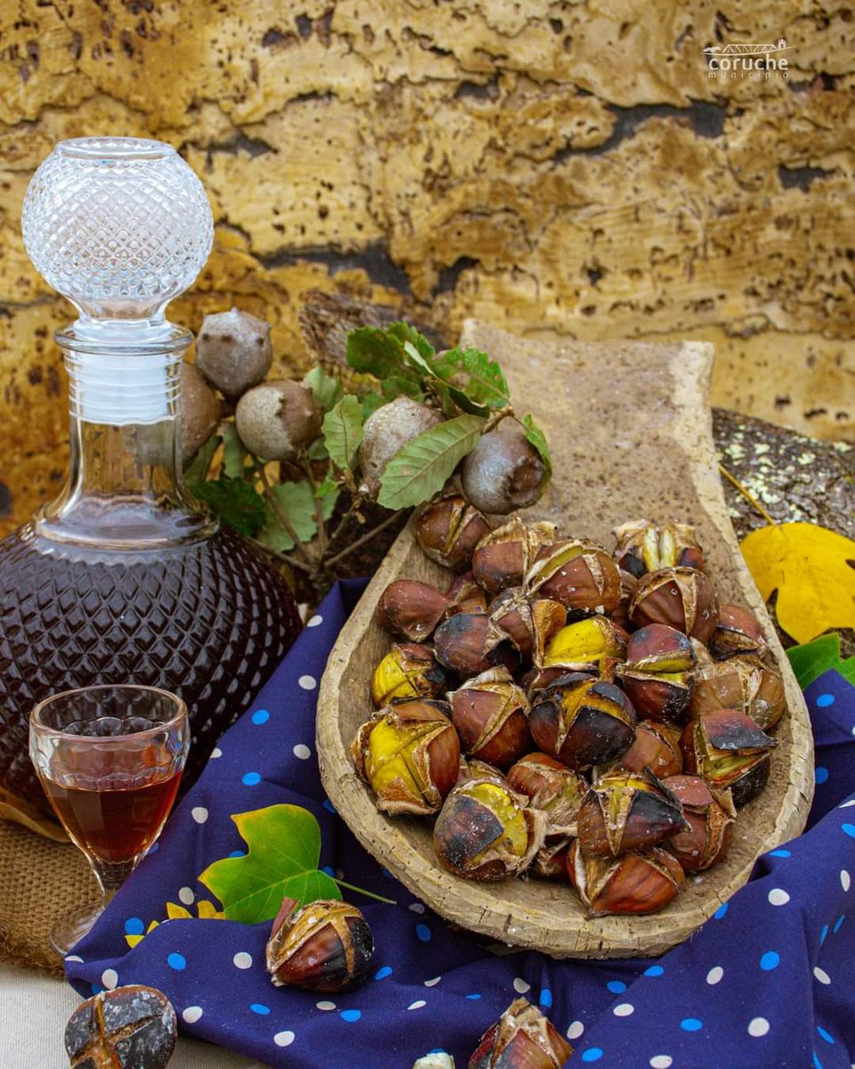 CamaraCoruche's tweet photo. Quentes e boas...Dia de São Martinho
 #saomartinho #lendadesaomartinho #tradicao #castanhasassadas #castanhas #jeropiga #douro #outono #outono2020 #autumn #foodbloggers #fooddelicious #foodandtravel #foodphotography #foodiept #foodie #chefcook #instafood  #visitcoruche https://t.co/OlsTEFDhPU