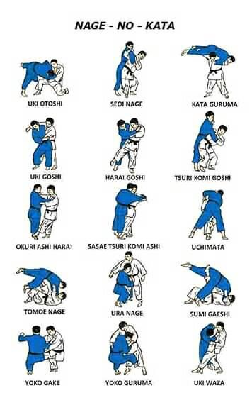 AngryFighters's tweet photo. ¿Cuál es vuestra favorita? Contadnos 👀 https://t.co/weZeKAtKn1