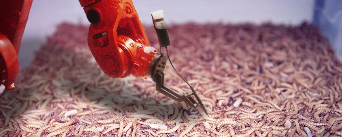 Markus Turber tweet media