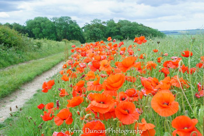 Kerry Duncan Photogr tweet media