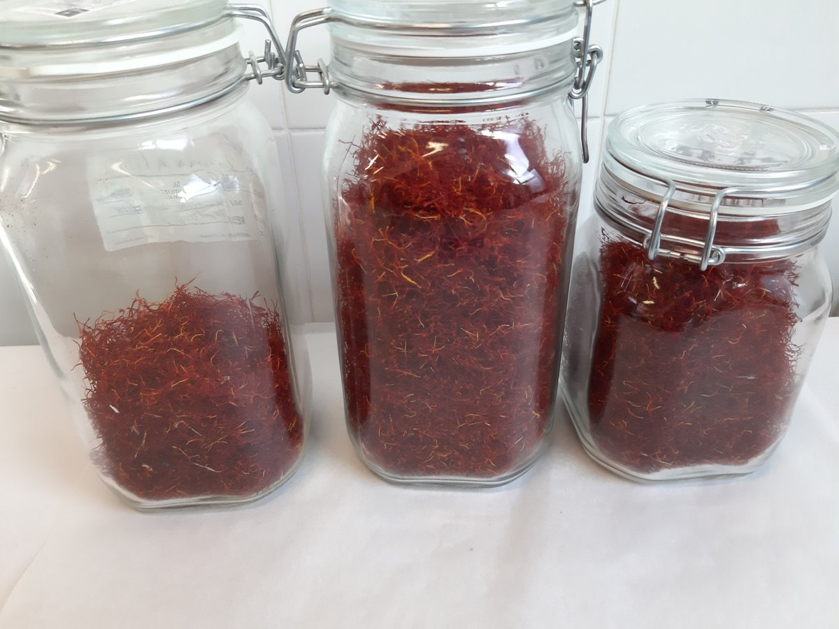ZafferanodiNepi's tweet photo. Abbiamo appena finito di essiccare i fiori aromatici #biologici di #zafferano raccolti oggi! Questa preziosa spezia è la ricompensa di tante ore di duro #lavoro #spezie #superfood #ITALIA #Lazio #gourmetfood #zafferanodinepi #chefs https://t.co/0aveY78QCQ