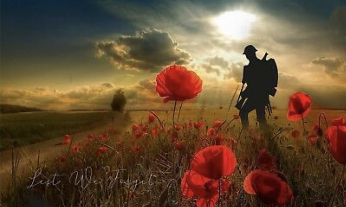 SDIDisplays's tweet photo. Never forget... ❤️#RemembranceDay2020 https://t.co/goLqoYdUWN