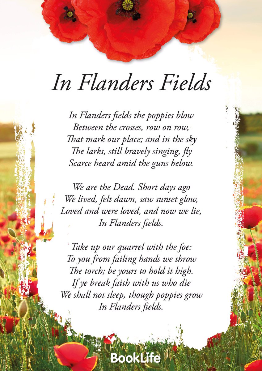 XNovember_RainX's tweet photo. 🌹Lest We Forget 🌹 https://t.co/g5aXr1M1FA