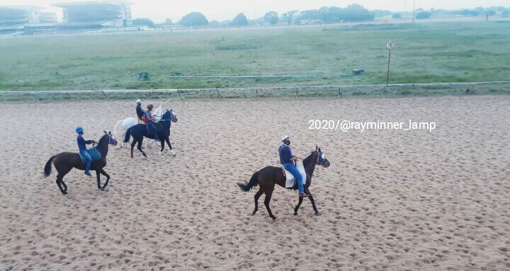 rayminner_lamp's tweet photo. #HINAVA🏆
#Mie #11Nov #Briseos ⏱️
Ejemplares En Cancha
Deporte Hipico💯 https://t.co/pYCK34ITOG