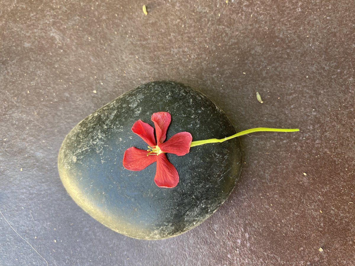 N__Aldrees's tweet image. 