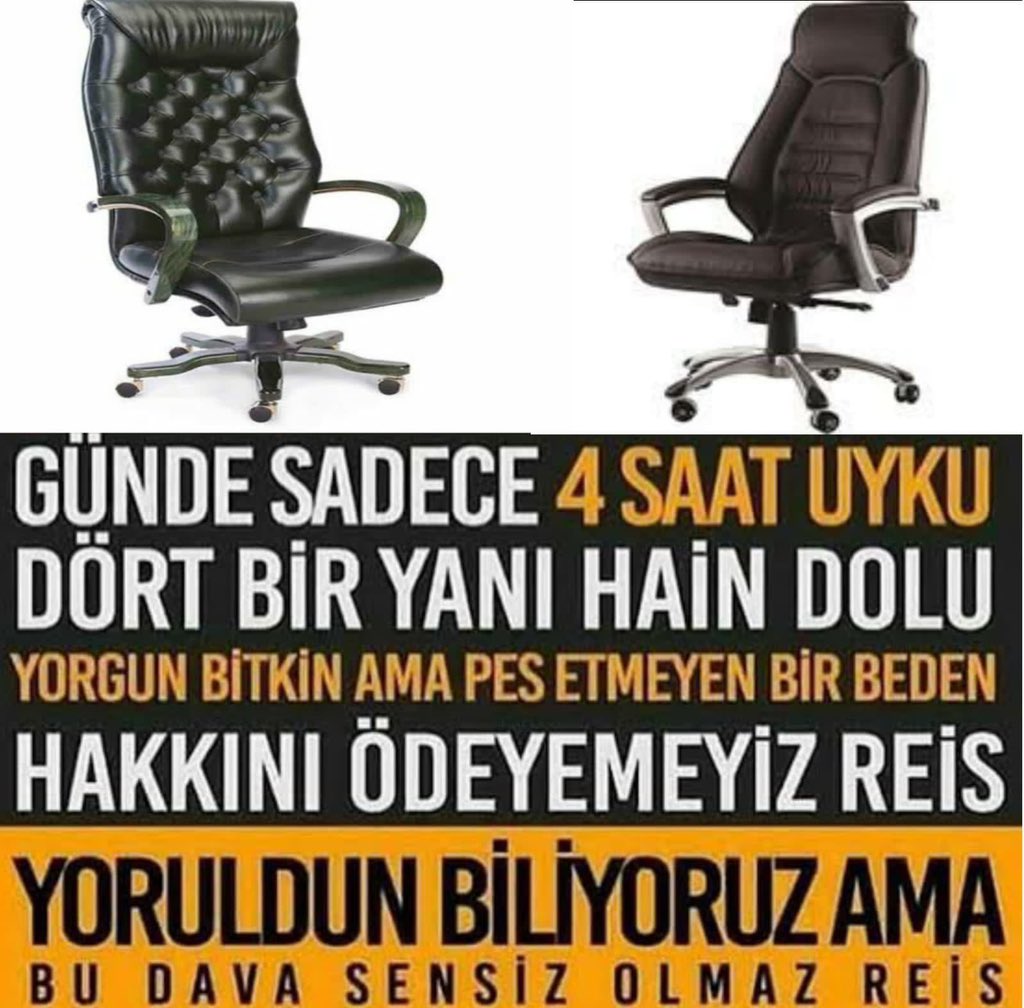 teo tweet media