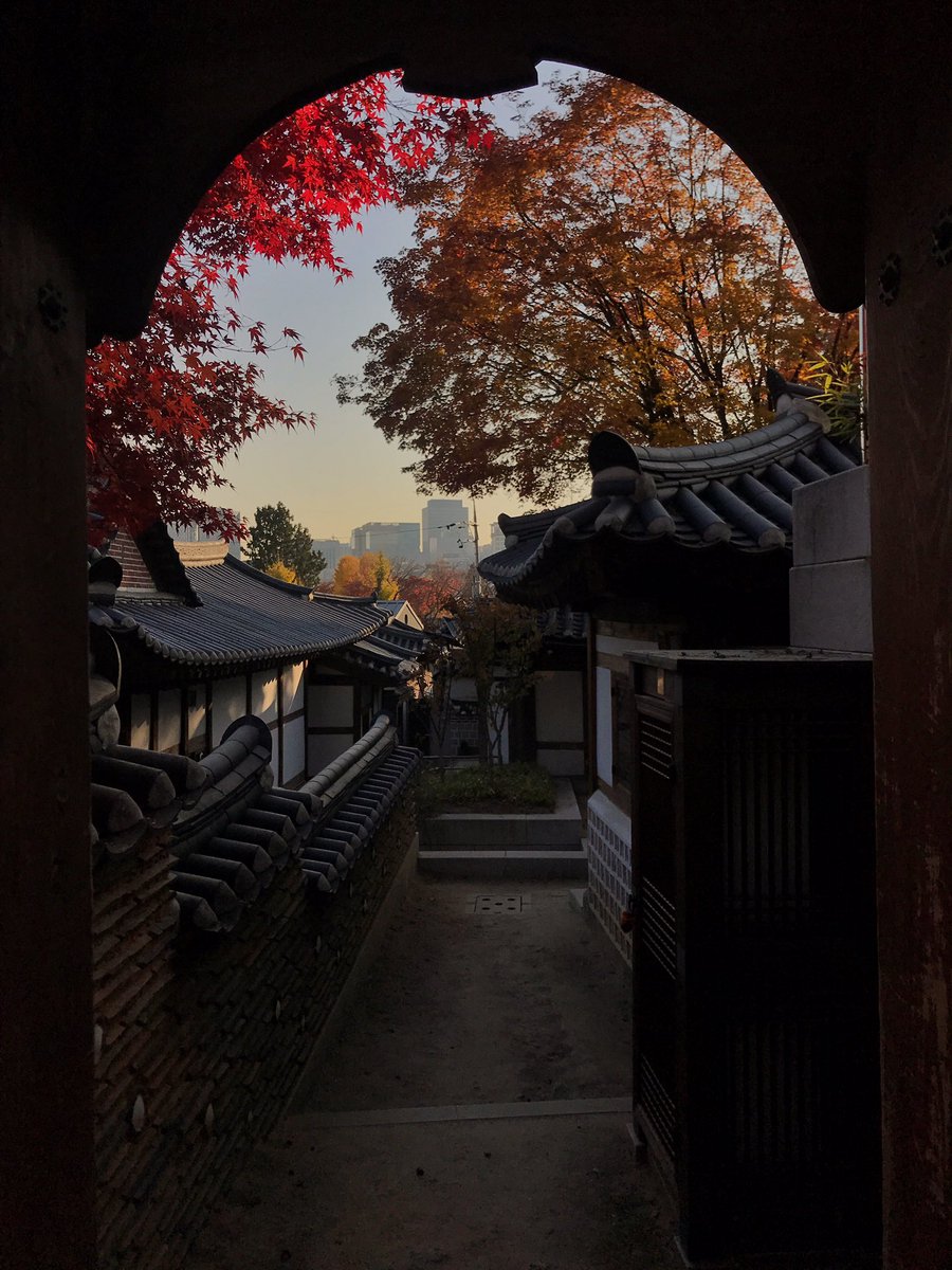 whxtdoicallyou's tweet image. 오늘 마치 한국의 가을이라는 계절을 태어나서 처음 본 기분이었다... 
가회동 백인제가옥