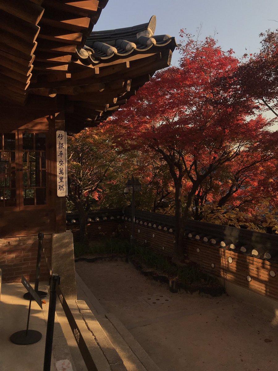 whxtdoicallyou's tweet image. 오늘 마치 한국의 가을이라는 계절을 태어나서 처음 본 기분이었다... 
가회동 백인제가옥