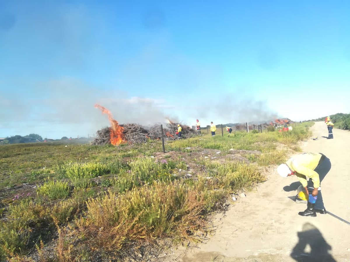 wo_fire's tweet photo. The Riversdale team in the Southern Cape has been preparing for the upcoming #SummerFireSeason doing fuel load reduction.
The aim of a control burn is to prevent a destructive wildfire and destroy aliens invasive plants.
#FireReadiness
#WOF_WC
#WorkingonFire https://t.co/t5fsN9BKpu