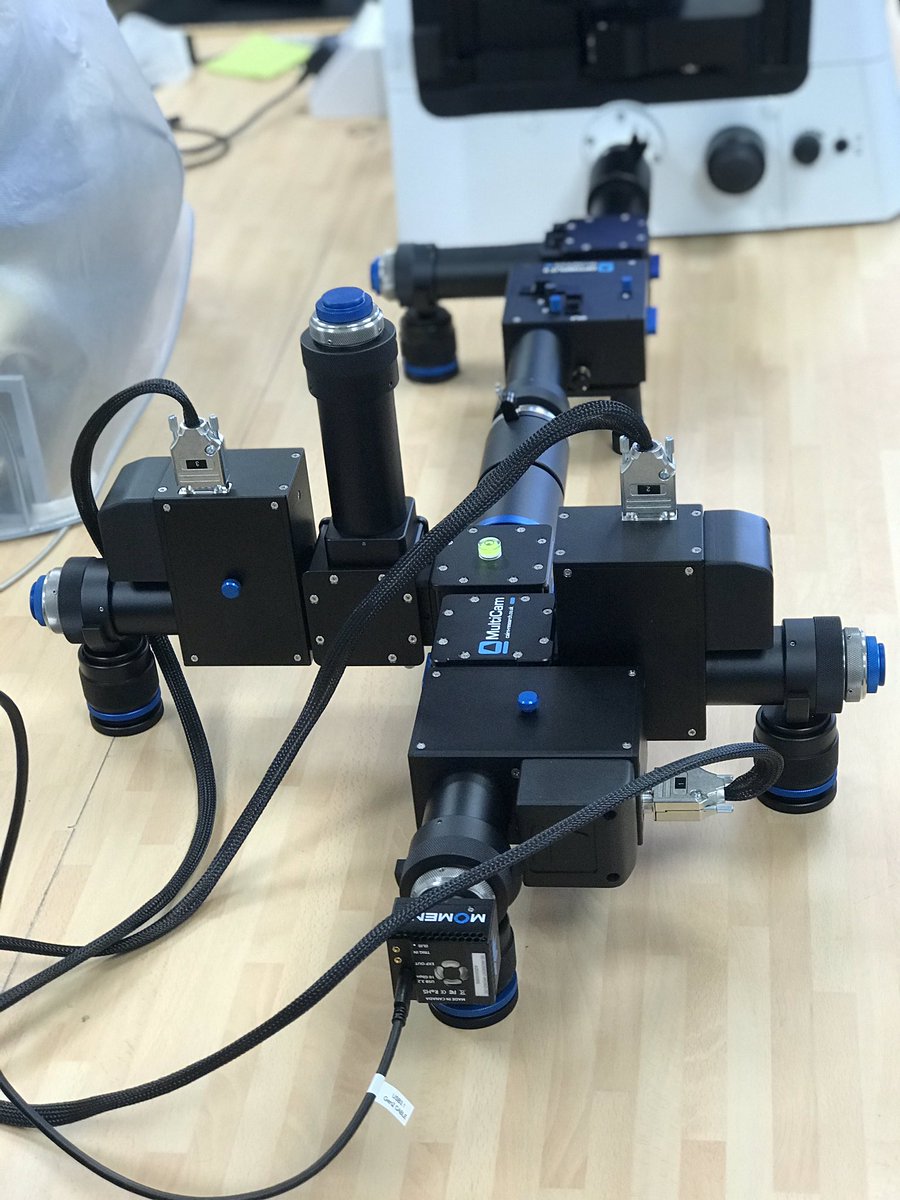 Cairn_Custom's tweet photo. Motorised Multicam attached to Optosplit II Splitcam ready for action 👍 3 motorised camera ports &amp; 2 fixed 😮@Cairn_Research #cairnworkshop #Microscopy #customdesign #Multicam #optosplit #splitcam https://t.co/ZiBoH8n120