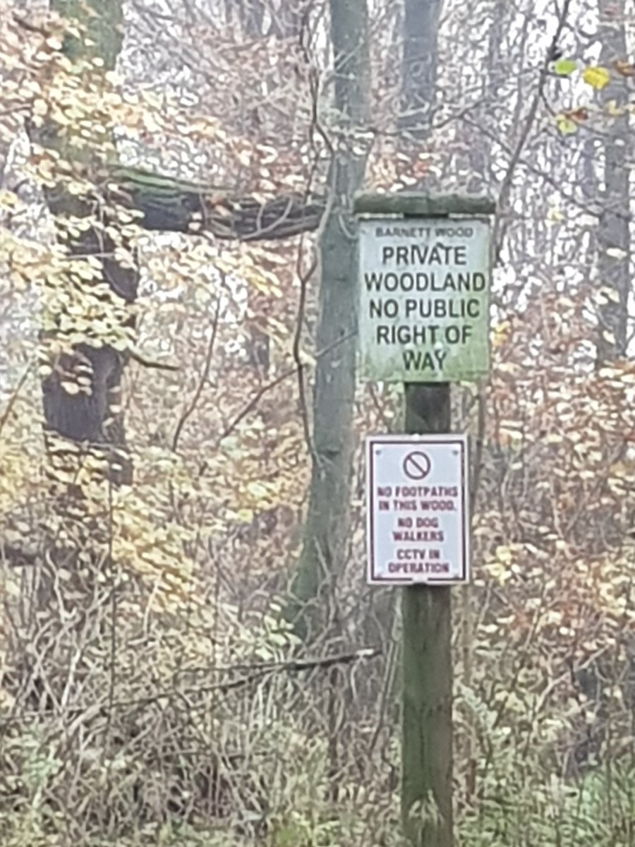 Ian Archer tweet media