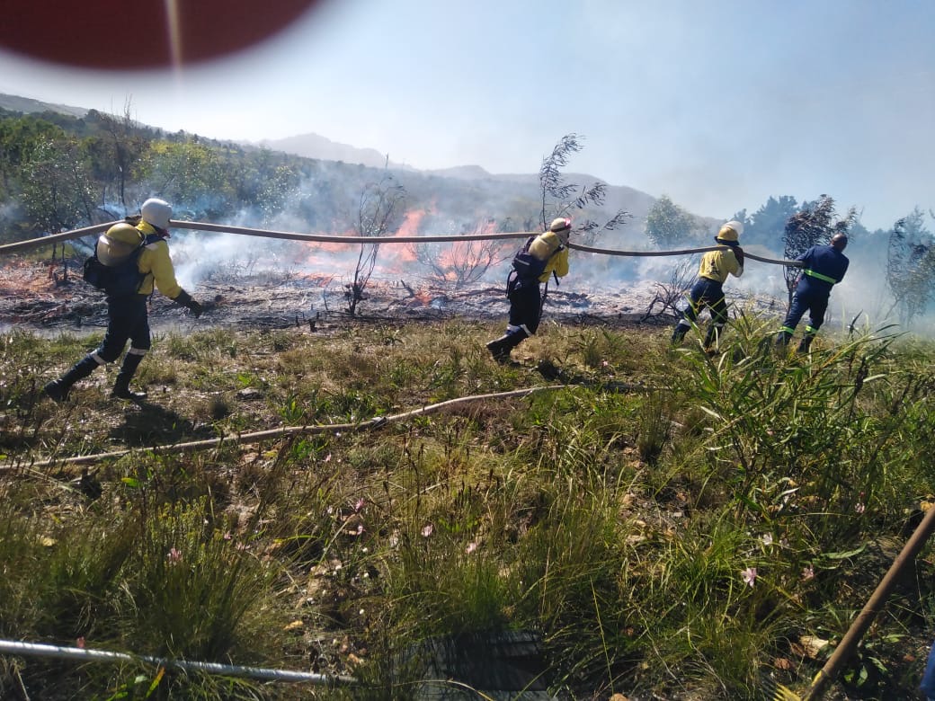 wo_fire's tweet photo. As part of preparation for #SummerFireSeason, the Bredasdorp & Walkerbay teams recently assisted partners with a prescribed burn in Grootbos in the Overstrand Municipality.
The teams were applauded for a job well done!
#FireReadiness
#SummerFireSeason
#WOF_WC
#WorkingonFire https://t.co/lsIBFrlZbg