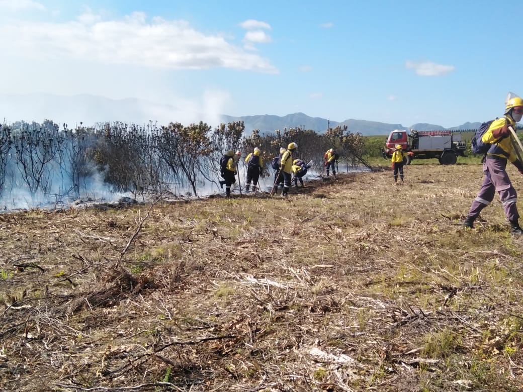wo_fire's tweet photo. As part of preparation for #SummerFireSeason, the Bredasdorp & Walkerbay teams recently assisted partners with a prescribed burn in Grootbos in the Overstrand Municipality.
The teams were applauded for a job well done!
#FireReadiness
#SummerFireSeason
#WOF_WC
#WorkingonFire https://t.co/lsIBFrlZbg
