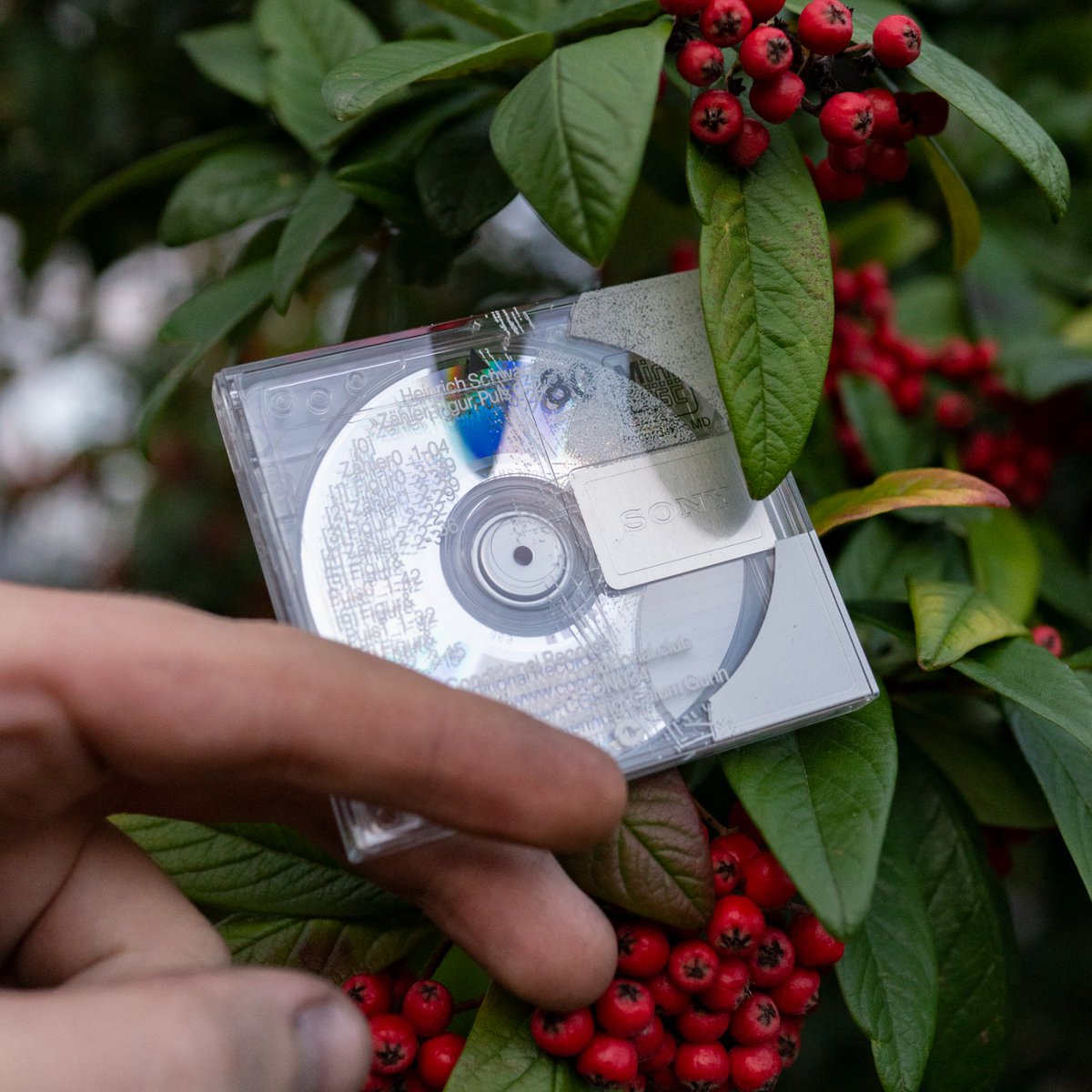 Conditional tweet media