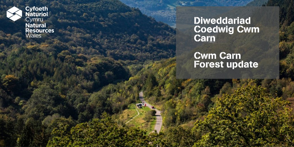 NatResWales's tweet image. Work to resurface Cwm Carn Forest Drive is now in full swing, and we’re really excited at the prospect of welcoming cars onto the drive again 🎉

There’ll be lots of new features to welcome you back, including new play areas, picnic spots and all-ability trails 👨‍👩‍👧‍👧