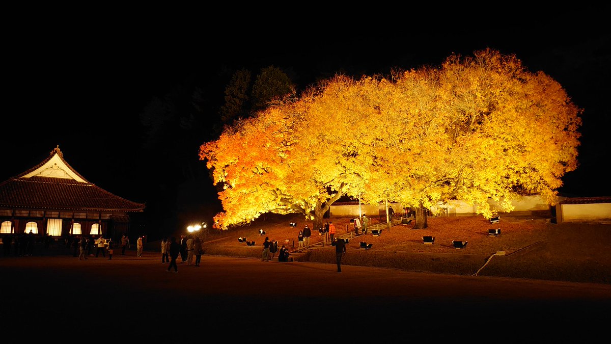 頭文字で 秋の恒例 旧閑谷学校ライトアップ 人出は例年に比べて若干少なかったか