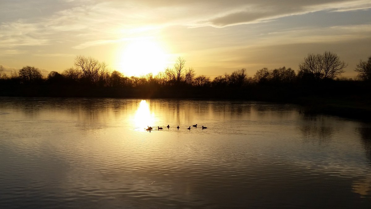 The park is OPEN for local visitors to walk around and use the takeaway option at our Lakeside Cafe. 

Admission does need to be pre-booked online &amp; NHS track and trace check-in👍