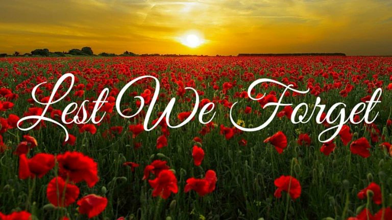 Lest We Forget❤️ - Remember all those that done this, for us. ✨✨✨
