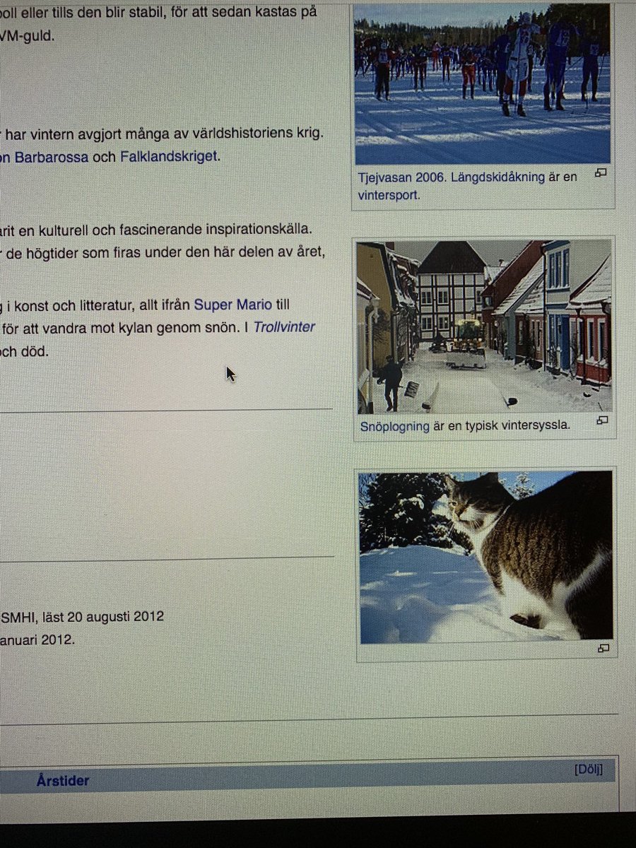 s/o till personen som lagt in en okommenterad bild på en katt i wikipediasidan för vinter