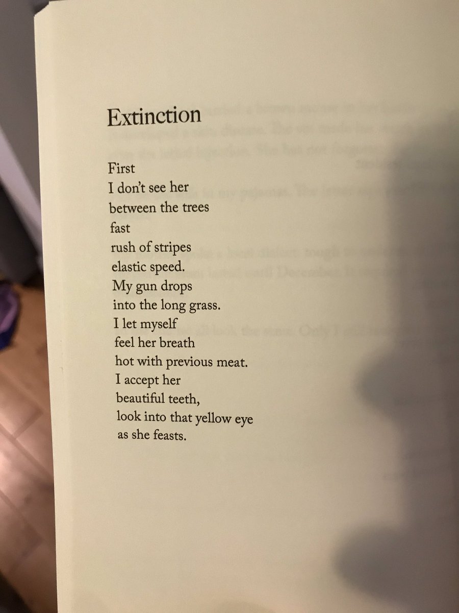 You should be reading  @citytwarbler a legend