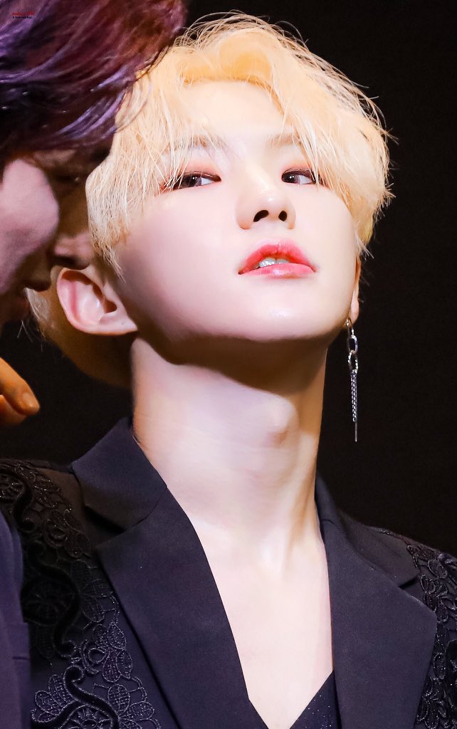 luxuryhoshi's tweet photo. these pictures of hoshi lives in my mind rent free @pledis_17 https://t.co/CFjKa5PmIT