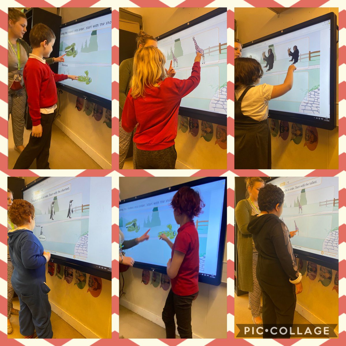 YsgolHenFelin's tweet photo. Expanding our sorting skills this morning #howmanylegs #tallesttoshortest #maths #yhfclass4 https://t.co/wUmnuTnsda