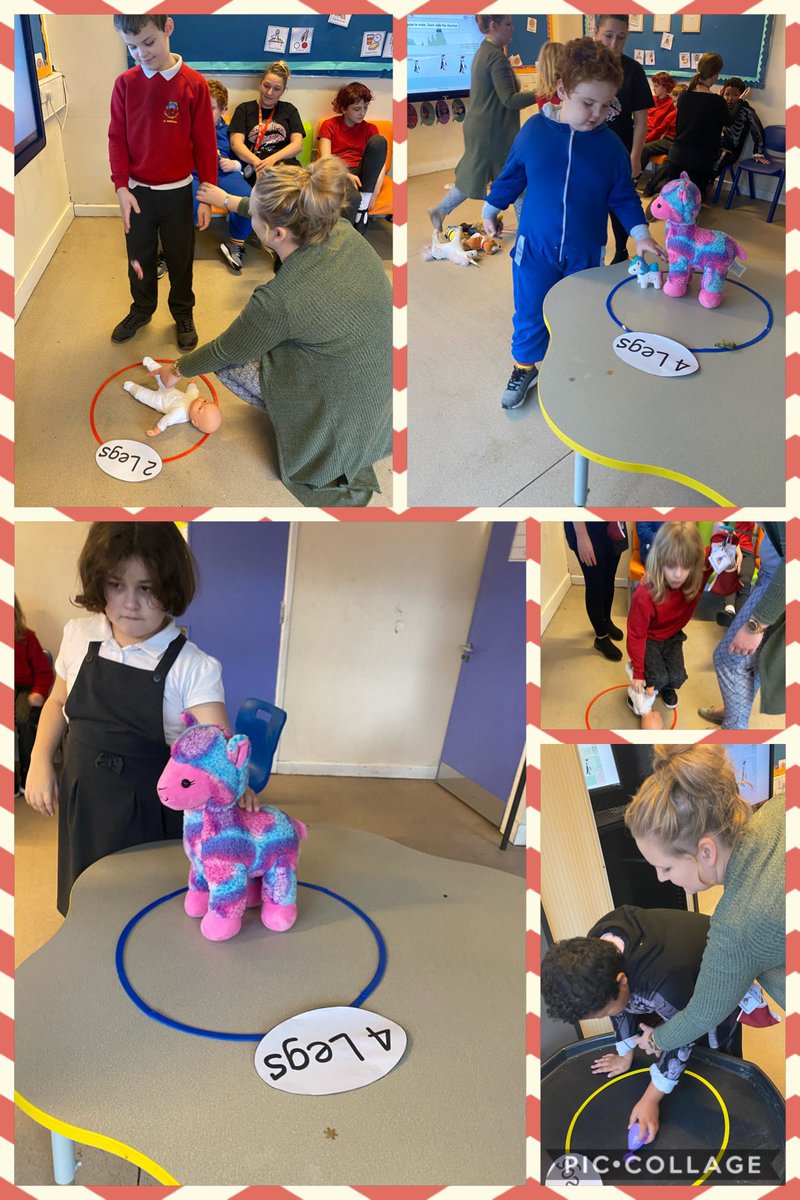 YsgolHenFelin's tweet photo. Expanding our sorting skills this morning #howmanylegs #tallesttoshortest #maths #yhfclass4 https://t.co/wUmnuTnsda