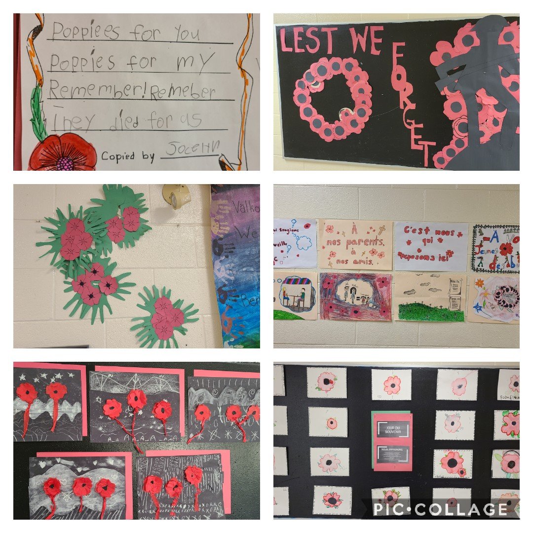 David T. Anderson tweet media