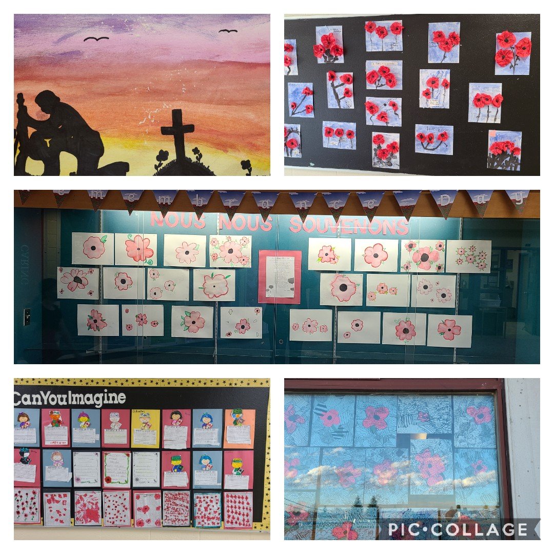 David T. Anderson tweet media