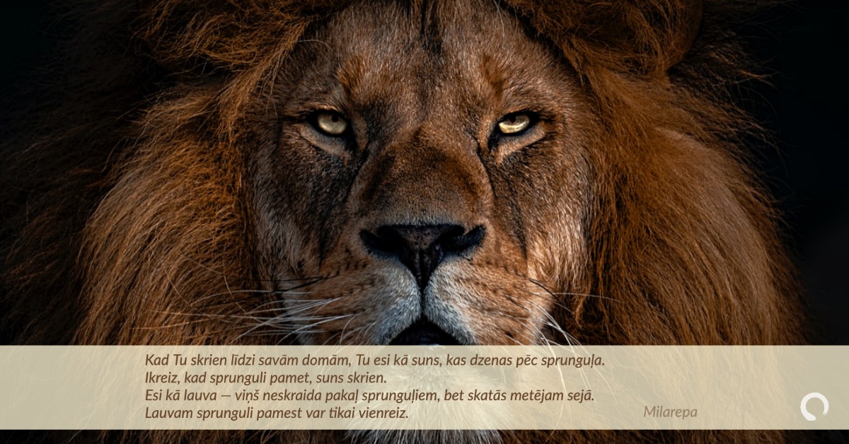 Kad Tu skrien līdzi savām domām, Tu esi kā suns, kas dzenas pēc sprunguļa. 
Ikreiz, kad pamet sprunguli, suns skrien.
Esi kā lauva — viņš neskraida pakaļ sprunguļiem, bet skatās metējam sejā. 
Lauvam sprunguli pamest var tikai vienreiz.
~ Milarepa