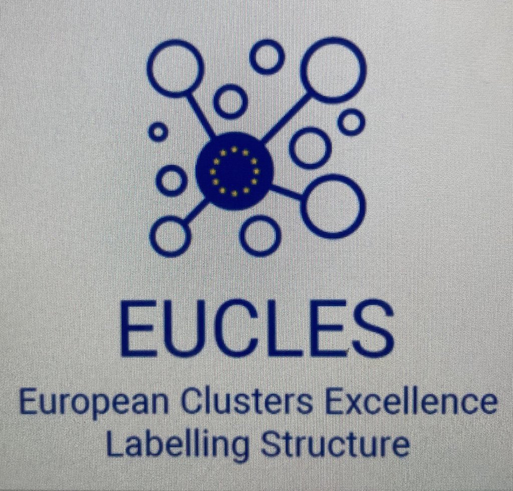 afrpc's tweet photo. For the Closure of the #ClusterConference @FlochHerve, President of @afrpc Europe Committee, is presenting the EUCLES project (European #Clusters Labelling Excellence Structure) and sharing the MOU signed by 12 national représentatives 👏👏.
#CLUSTERS2020 https://t.co/ubSL9OFJbp