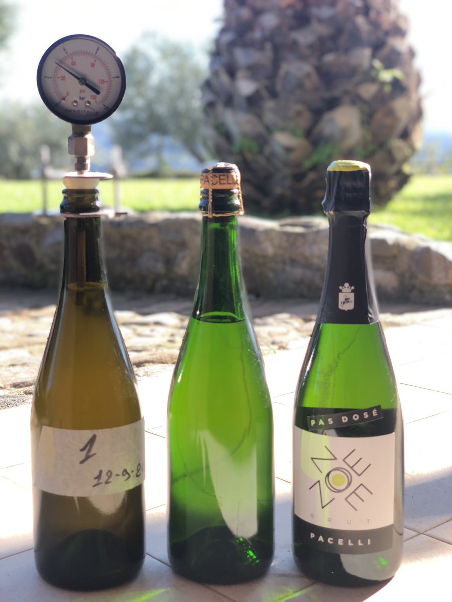 Il nuovo Zoe è arrivato! Disponibile, oltre al Brut, anche il Pas Dosé. Millesimato 2016, affinato 50 mesi sui lieviti.
🍾🍾🍾
#zoemetodoclassico #spumanteitaliano #riesling #rieslingincalabria #brut #pasdose