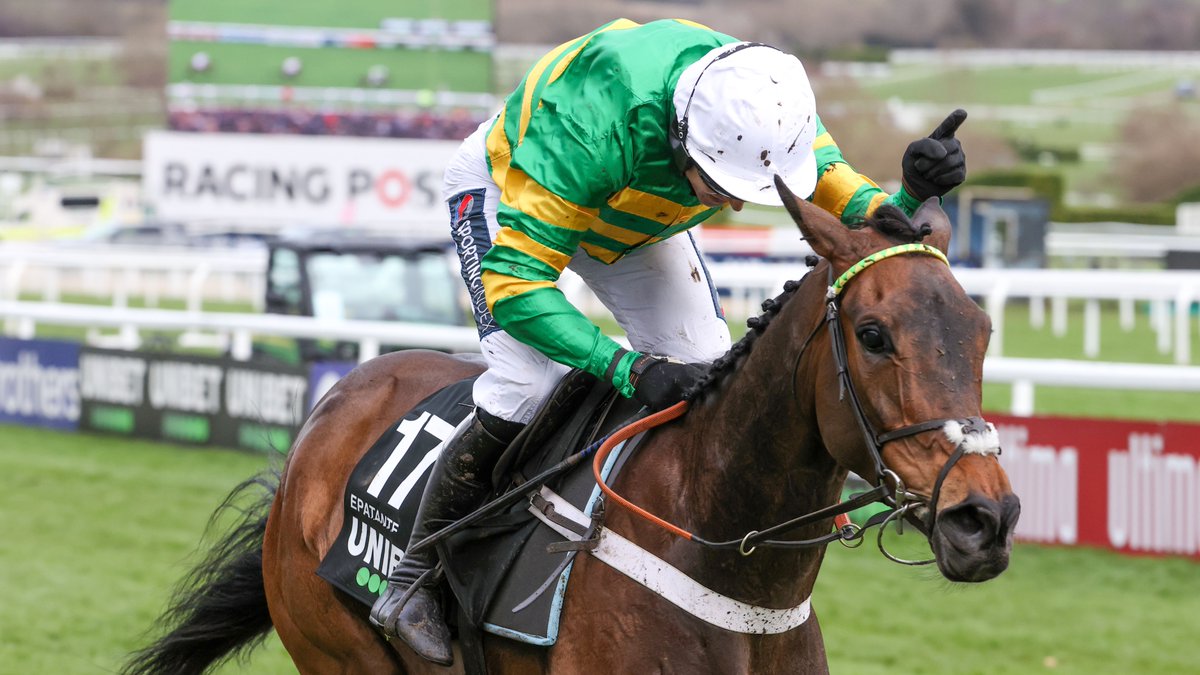 RacingPost's tweet photo. Some of the entries to the Fighting Fifth Hurdle at Newcastle 👀
⭐️ Epatante
⭐️ Goshen
⭐️ Abacadabras
⭐️ Sceau Royal
⭐️ Silver Streak
⭐️ Ribble Valley
⭐️ Cornerstone Lad
⭐️ Ballyandy
⭐️ Not So Sleepy https://t.co/VLdtKpMjsd