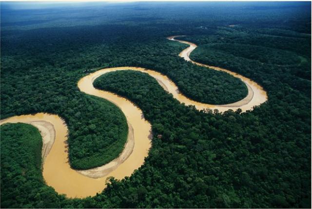 CATERINAV's tweet photo. #11Nov #Efemérides | La Selva Amazónica es declarada como una de las Siete Maravillas Naturales del Mundo (2011). https://t.co/QHz9MfSy9V