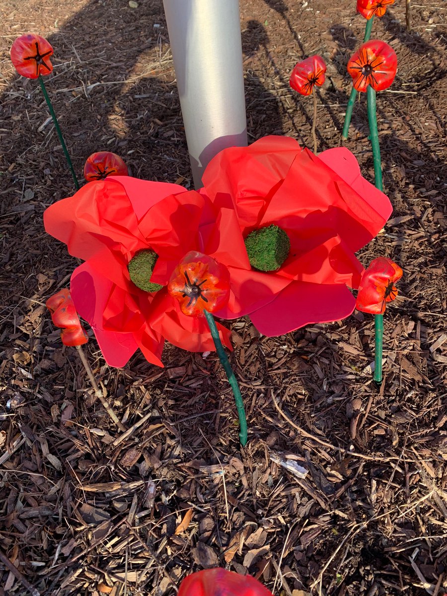 AlmaPublic's tweet photo. Thank you to our Grade 3 students for the poppy creations they made for Remembrance Day. We will be having a virtual Remembrance Day assembly at 10:45am for staff and students. Lest we forget ❤️ https://t.co/FQuLPOIeHr