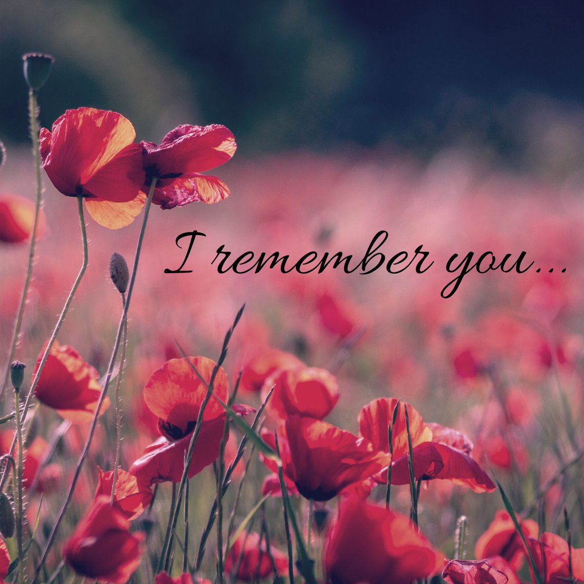 AnnaLeeHuber's tweet photo. It’s Veterans Day and the 102nd anniversary of the armistice ending WWI. To all who serve and have served, thank you! To all who have passed on, I honor and remember you... https://t.co/1sSBoLYkMa