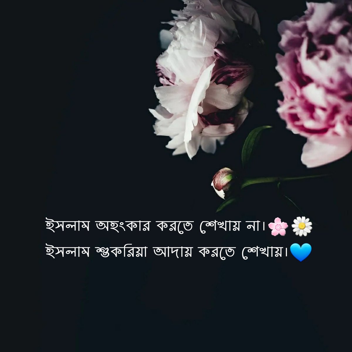 ChutoShaheb's tweet photo. Allhamdulillah https://t.co/I4oU8JM72J