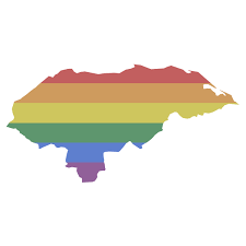 In '09, shortly b4 Vicky's killing,  @hrw published a report on . We interviewed 35 ppl who were victims of or witnesses to harassment/beatings/ill-treatment of trans ppl by the. Authorities failed to investigate complaints from trans ppl and orgs. https://www.hrw.org/report/2009/05/29/not-worth-penny/human-rights-abuses-against-transgender-people-honduras