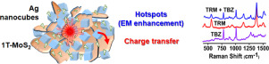 ApplMaterToday's tweet image. New Article: Ag nanocubes decorated 1T-MoS2 nanosheets SERS substrate for reliable and ultrasensitive detection of pesticides (Su &amp;amp; Hwang, National Taiwan University of Science and Technology) #SurfaceenhancedRamanspectroscopy #SERSsubstrate sciencedirect.com/science/articl…