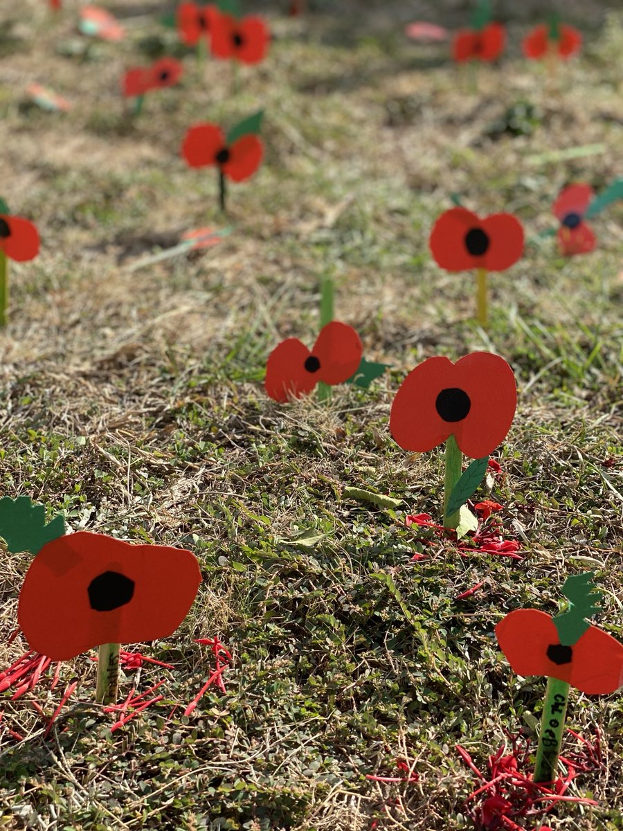 Year 3’s extremely touching remembrance garden. Lest we forget. ⁦@dbis_hk⁩ ⁦<a href="/dbis_y3/">DBIS Y3</a>⁩