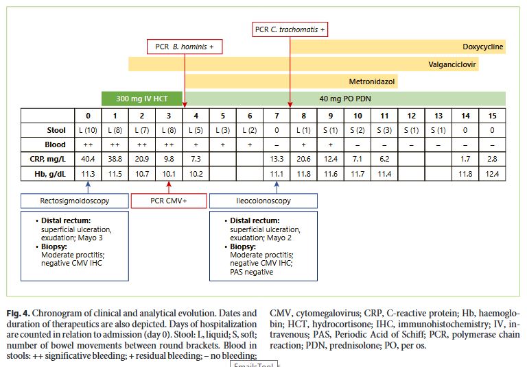 Infectious Proctitis in Ulcerative Colitis: The Importance of an Accurate Differential Diagnosis 
✍️ Miguel Mascarenhas Saraiva 
📄 ow.ly/YvHE50CaYZ4 
#GEPortJGastroenterol #OpenAccess #UlcerativeColitis