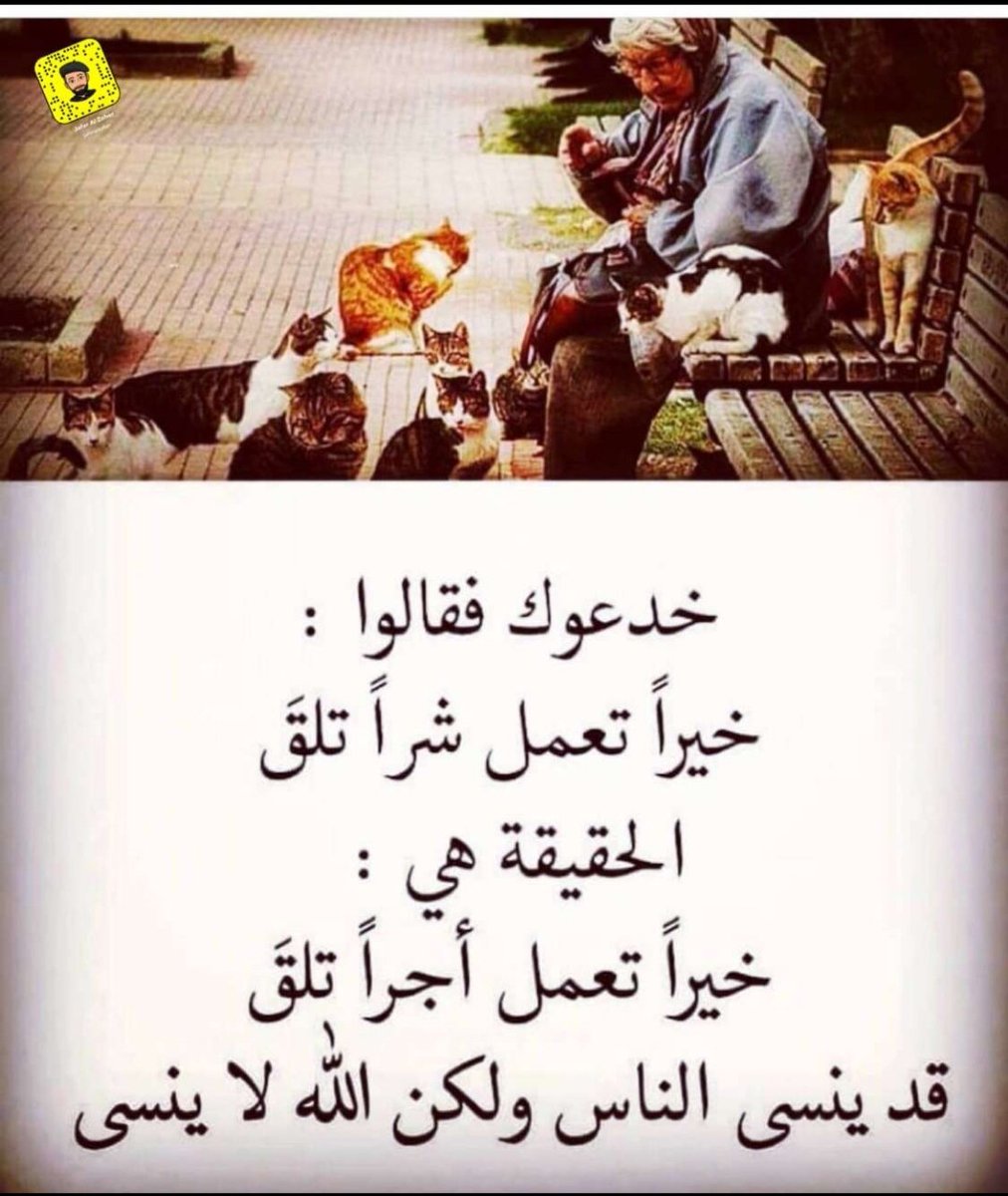 hateem4441's tweet photo. @PZMSSojWLaUbMKq https://t.co/fA2TZ3W3nC