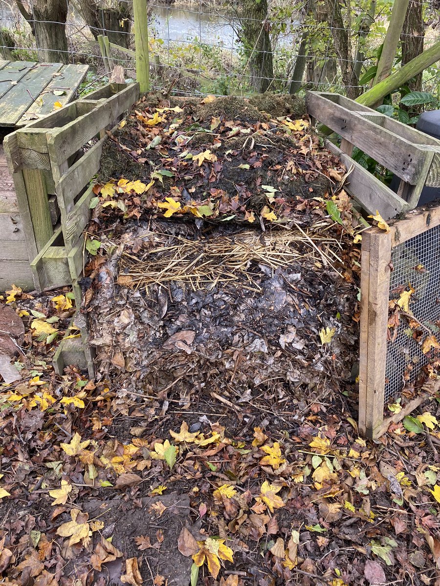 RenFrances22's tweet photo. Think I might need a 5th compost bin soon. Made of shredded garden waste, chicken muck & straw. #homemadecompost #compost #growyourown #insearchofthegoodlife #gardening https://t.co/5bAHdjvTC4