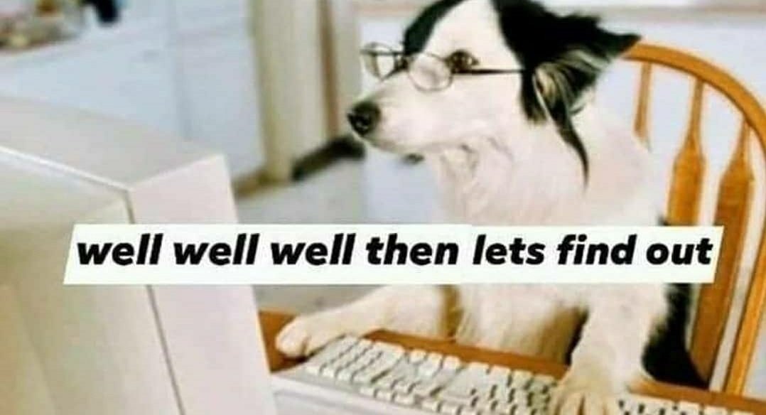 Finding out. Facebook canvas ads. Find картинка для детей. Find картинка. Find.