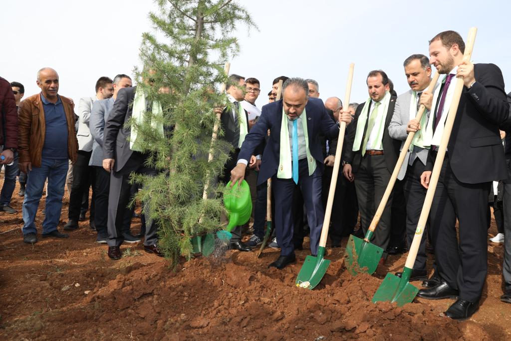 Alinur Aktaş