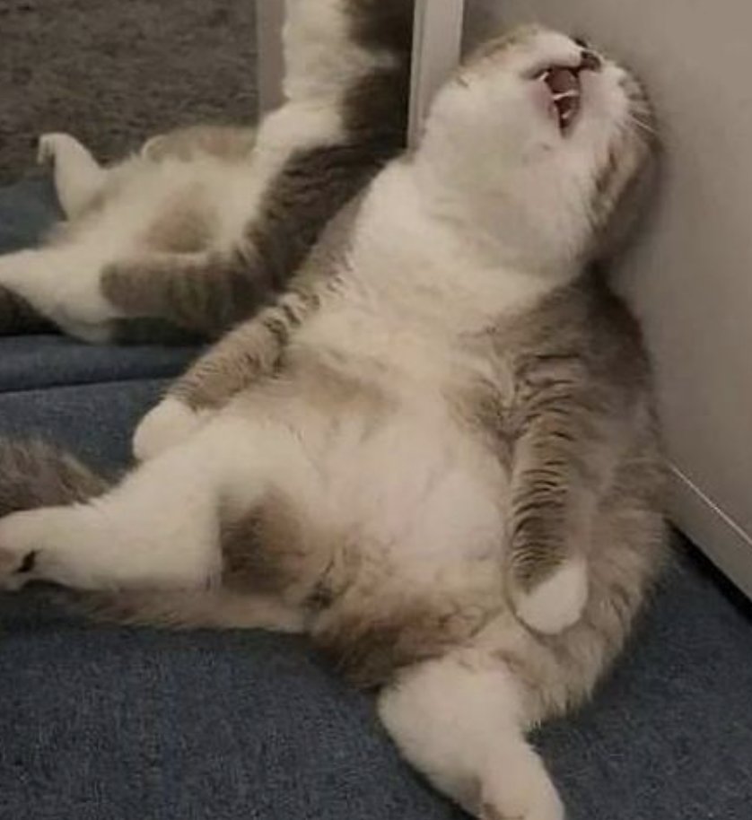 day 6 of quarantining in a hotel room working at these times got me feeling like